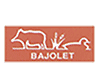 logo Bajolet