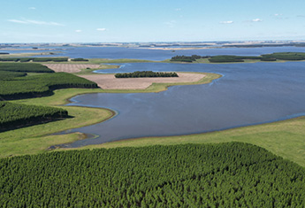 L’impact de l’expansion agricole dans la Pampa uruguayenne retracé sur huit décennies