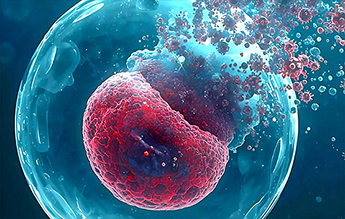 Les mirusvirus, nouveaux virus géants des océans