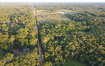 La déforestation à petite échelle, un enjeu climatique majeur