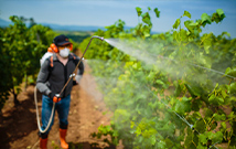 Des ultrasons pour dépolluer les sols contaminés au cuivre